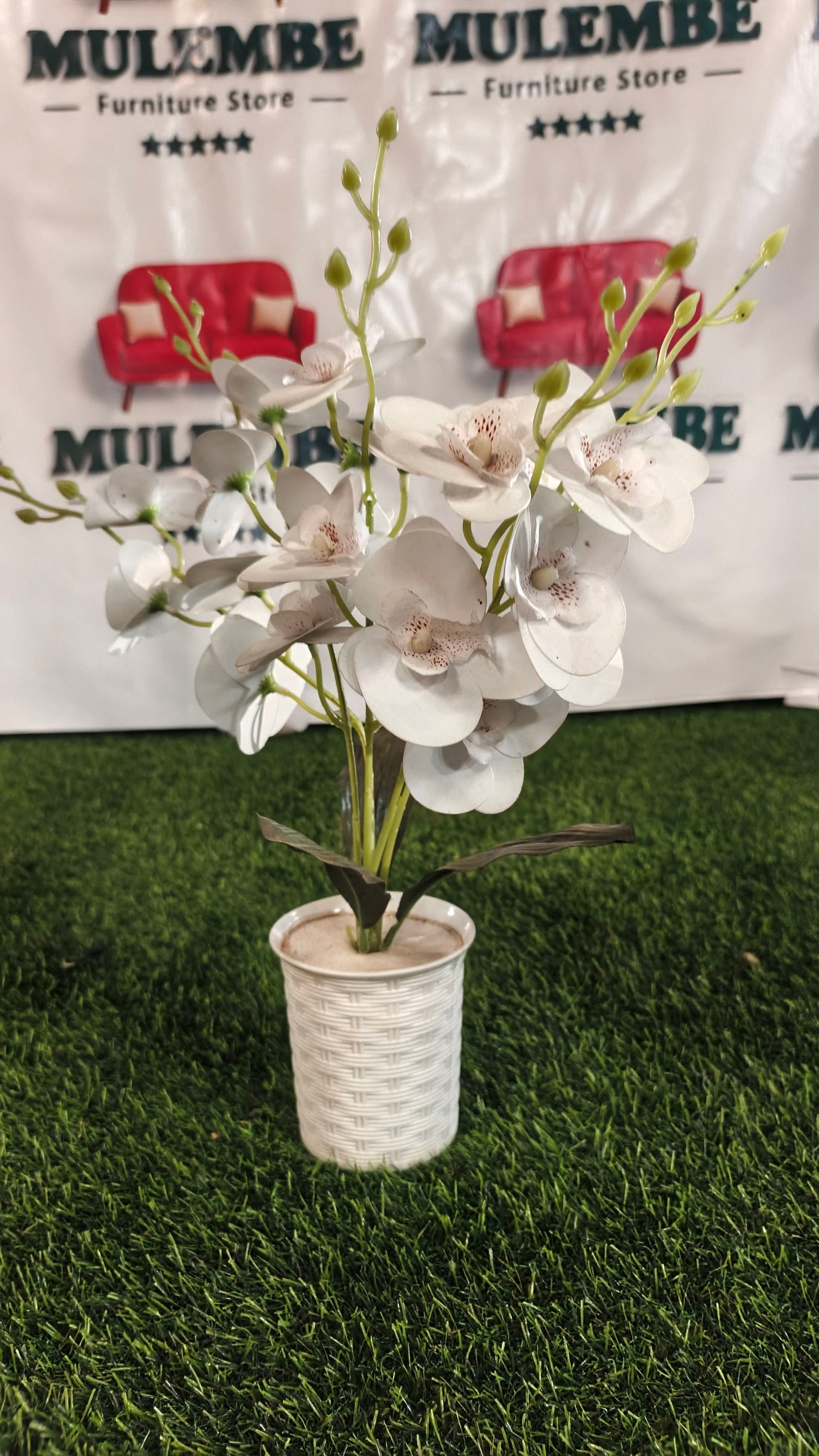 White Orchid Pot