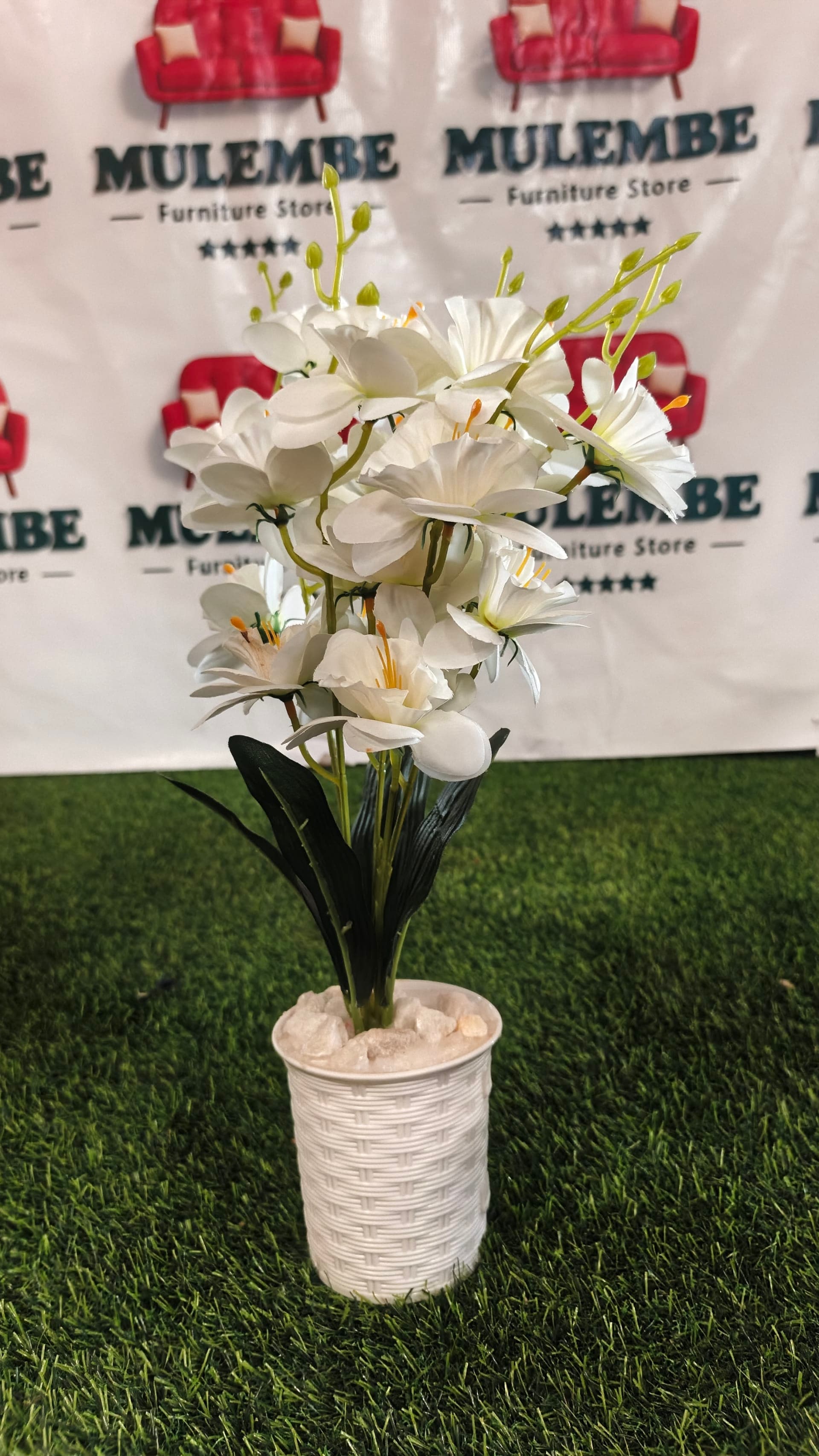 White Daffodil Pot