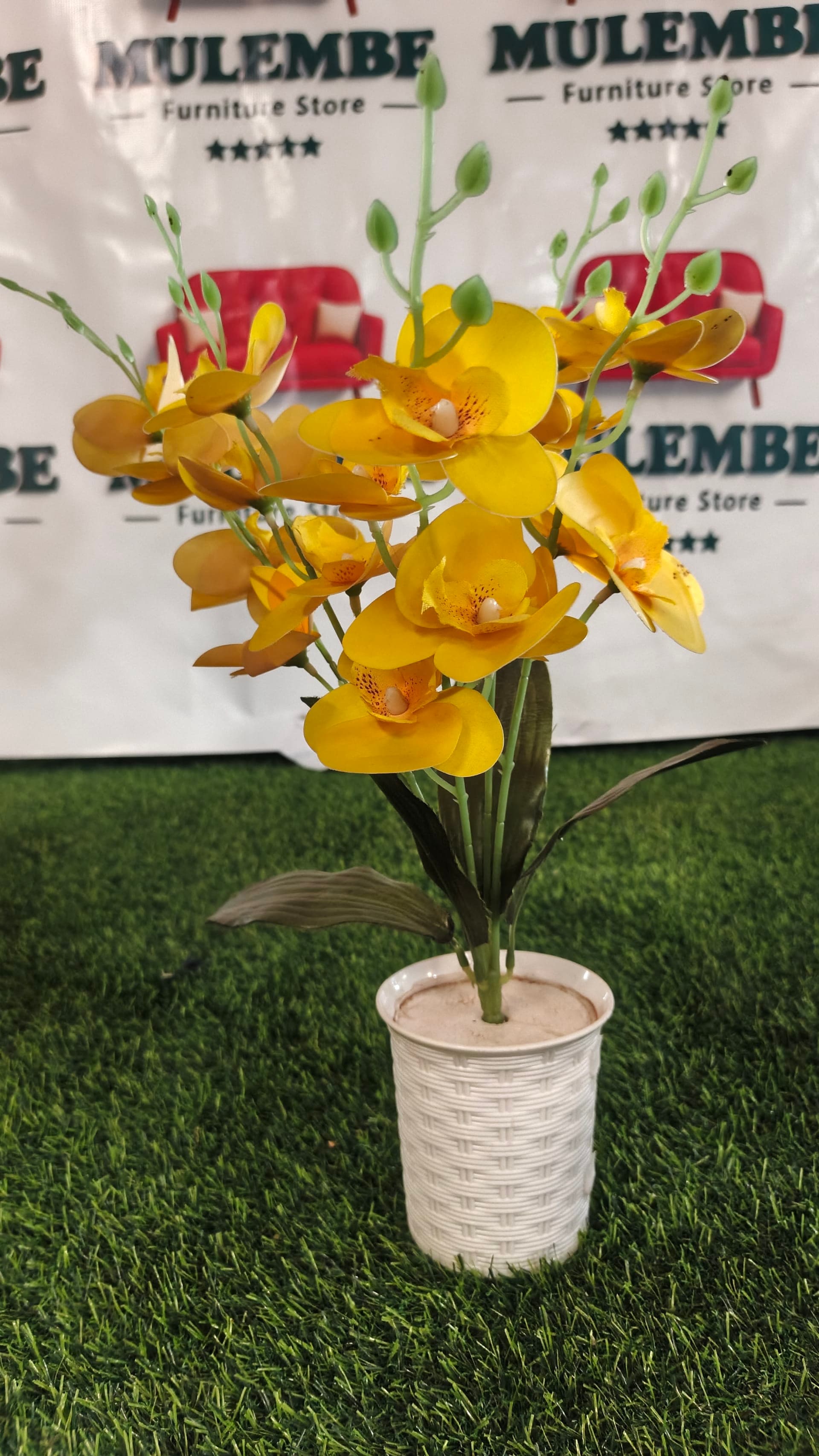 Yellow Orchid Pot