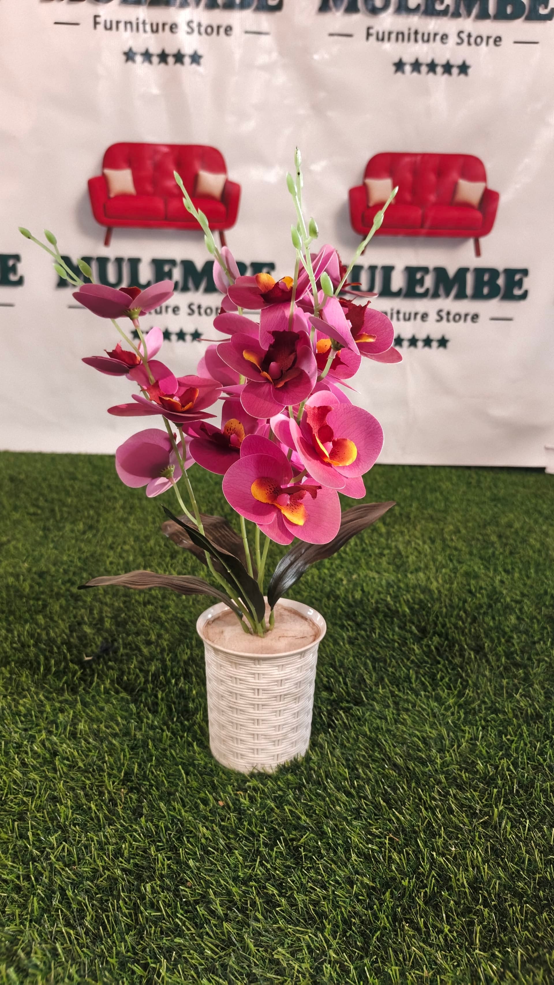 Purple Orchid Pot
