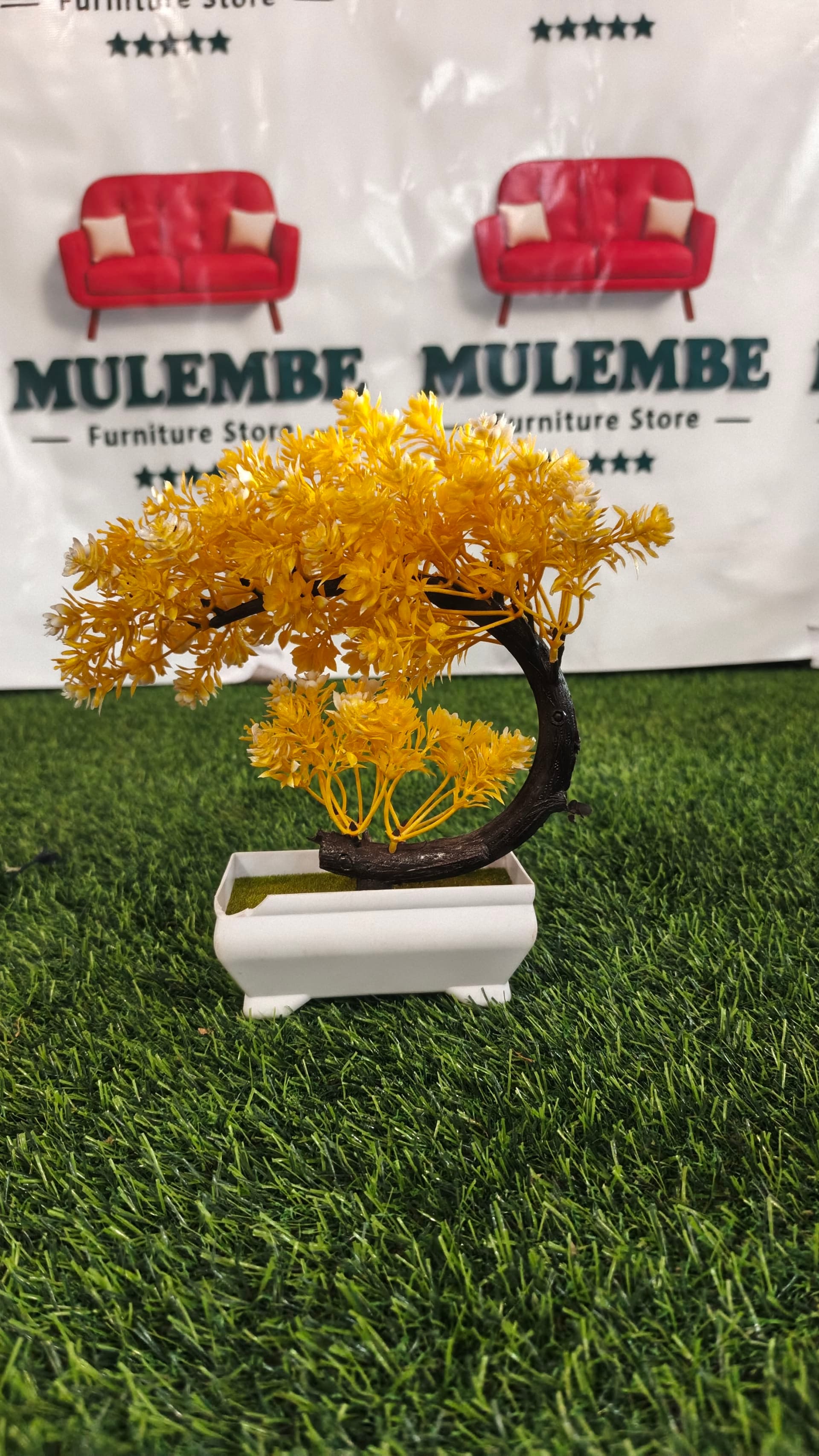 Yellow Bonsai Tree