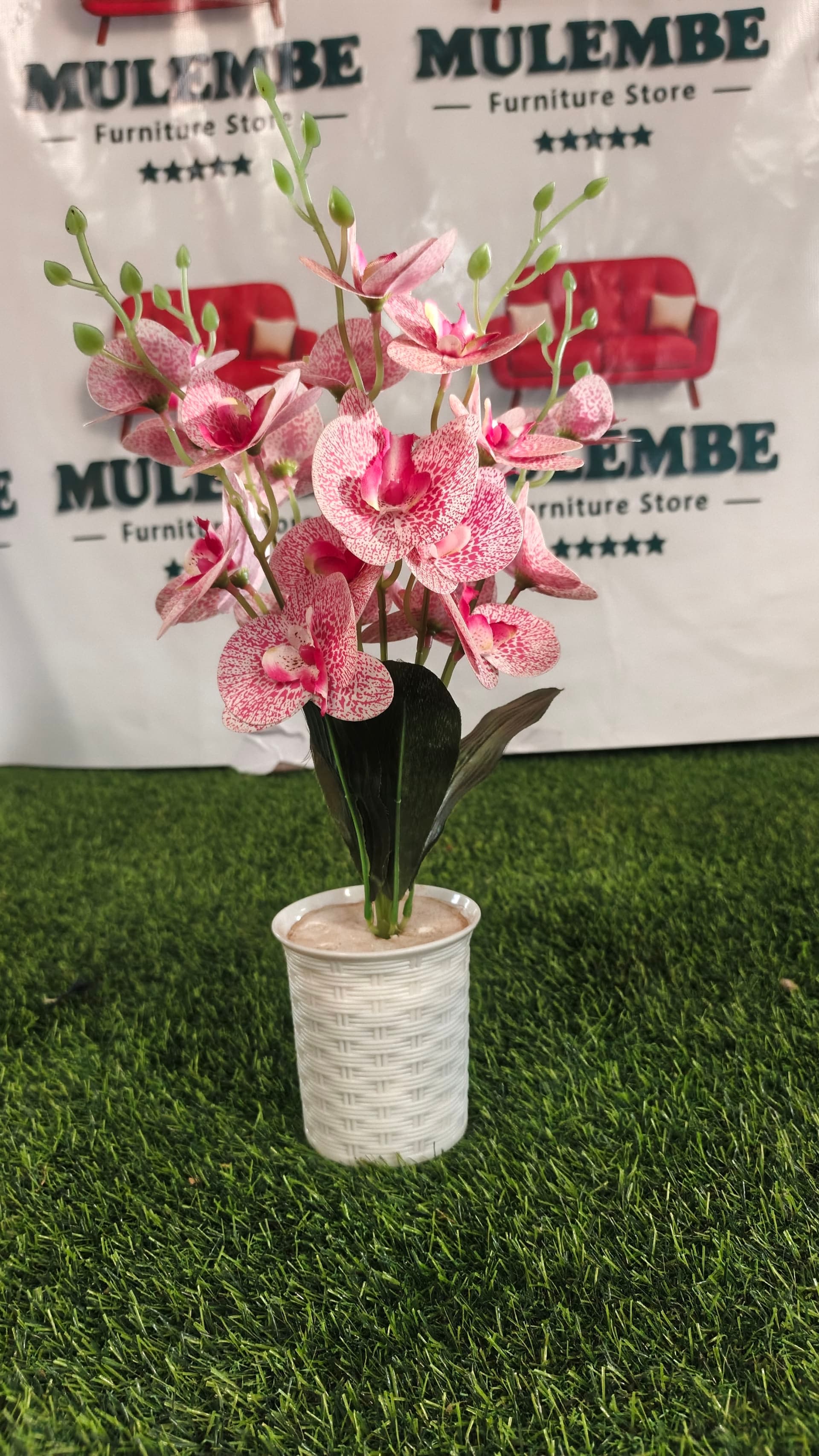 Blush Orchid Pot