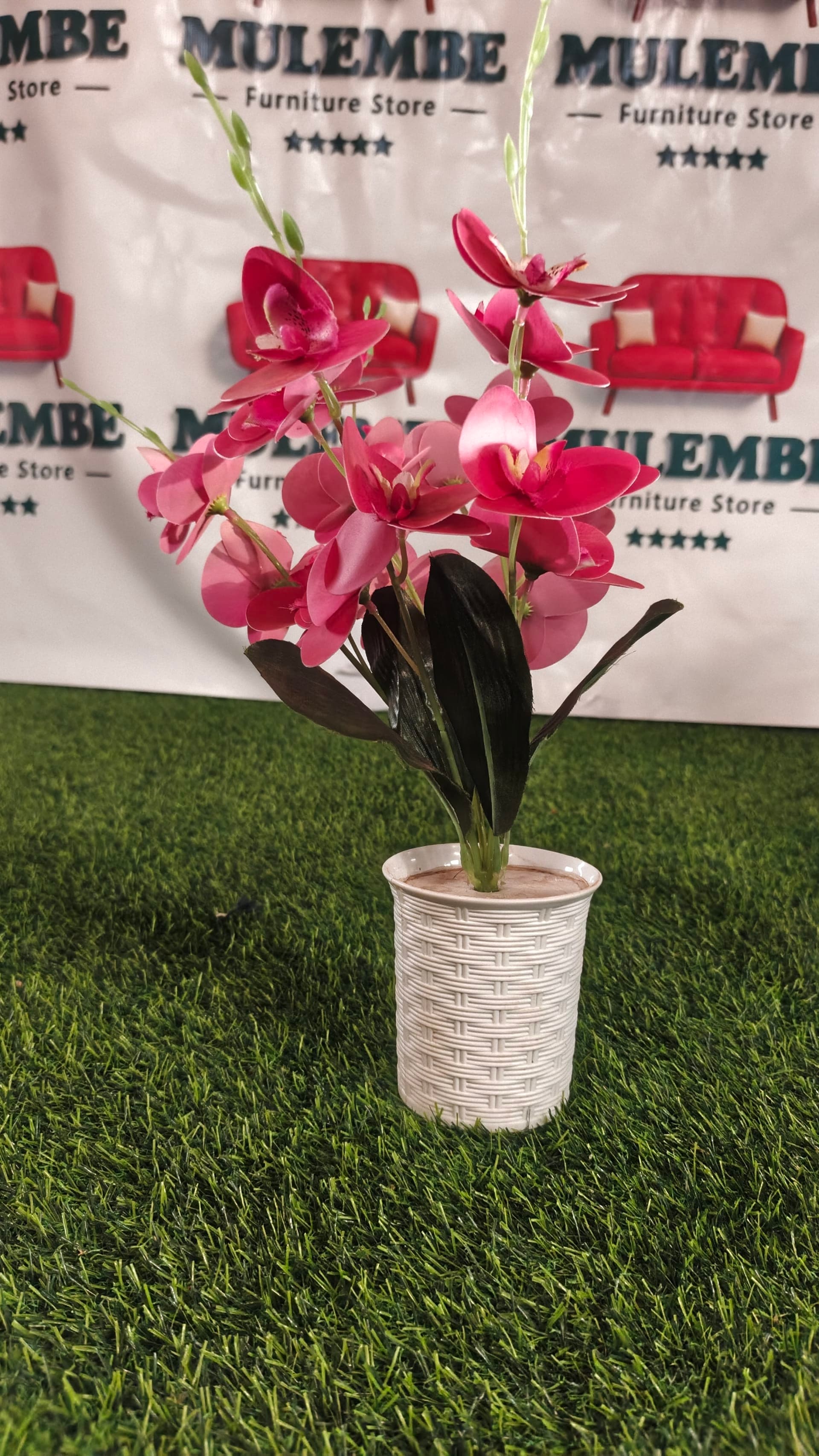 Magenta Orchid Pot