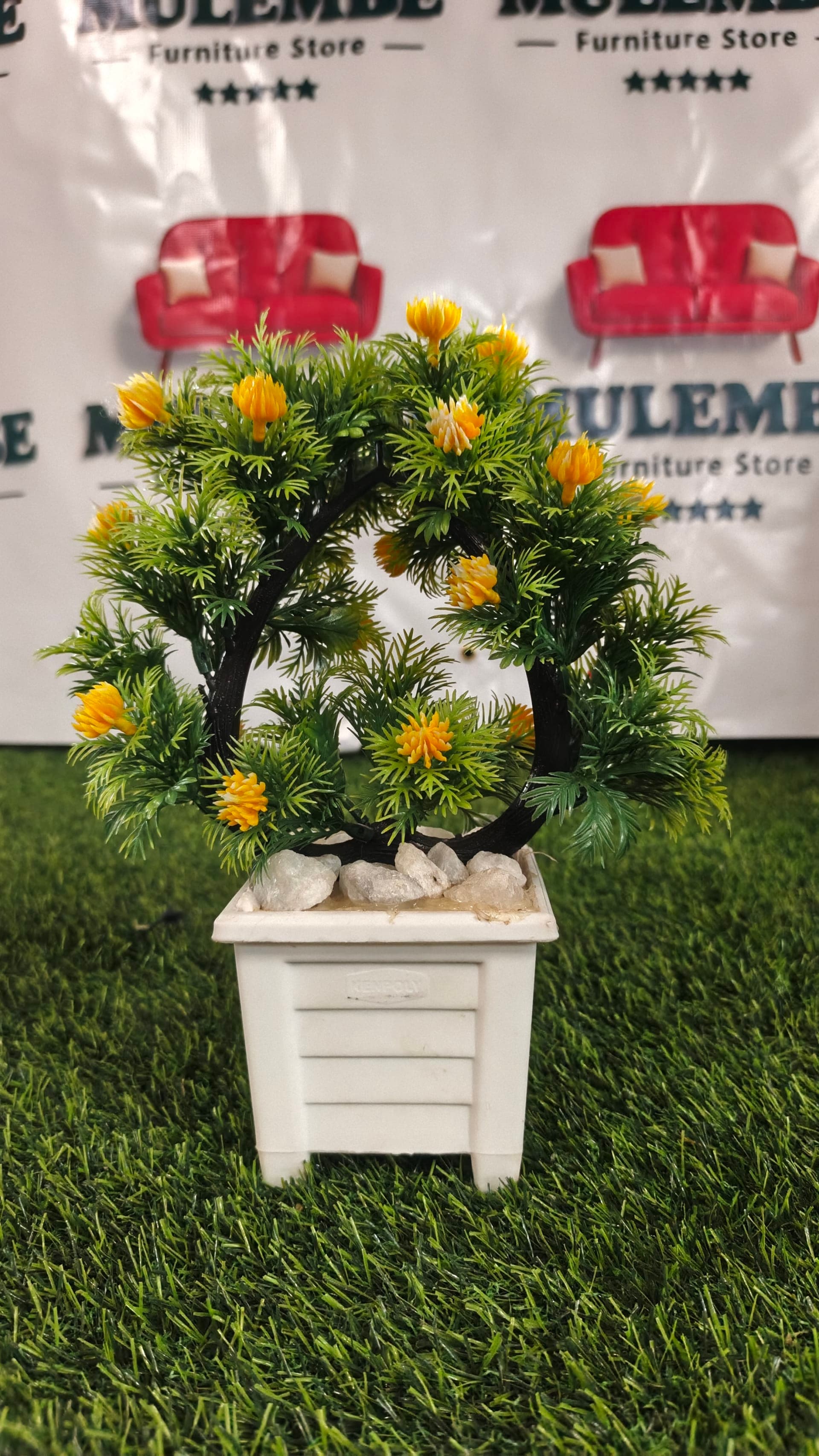 Ring Bonsai Planter