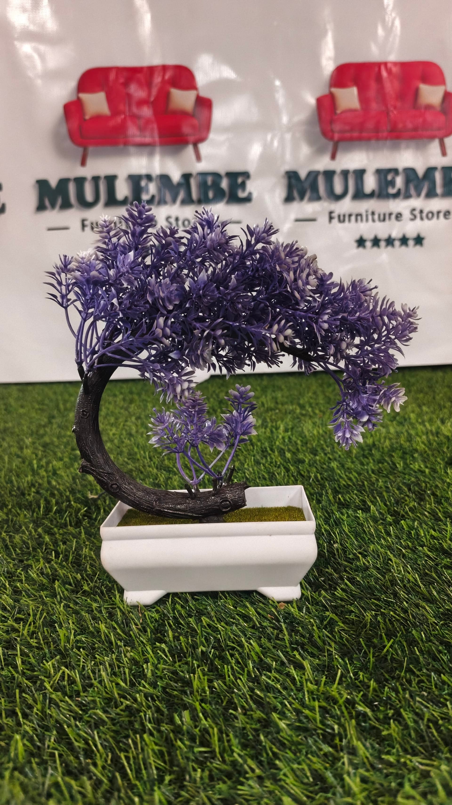 Purple Bonsai Tree