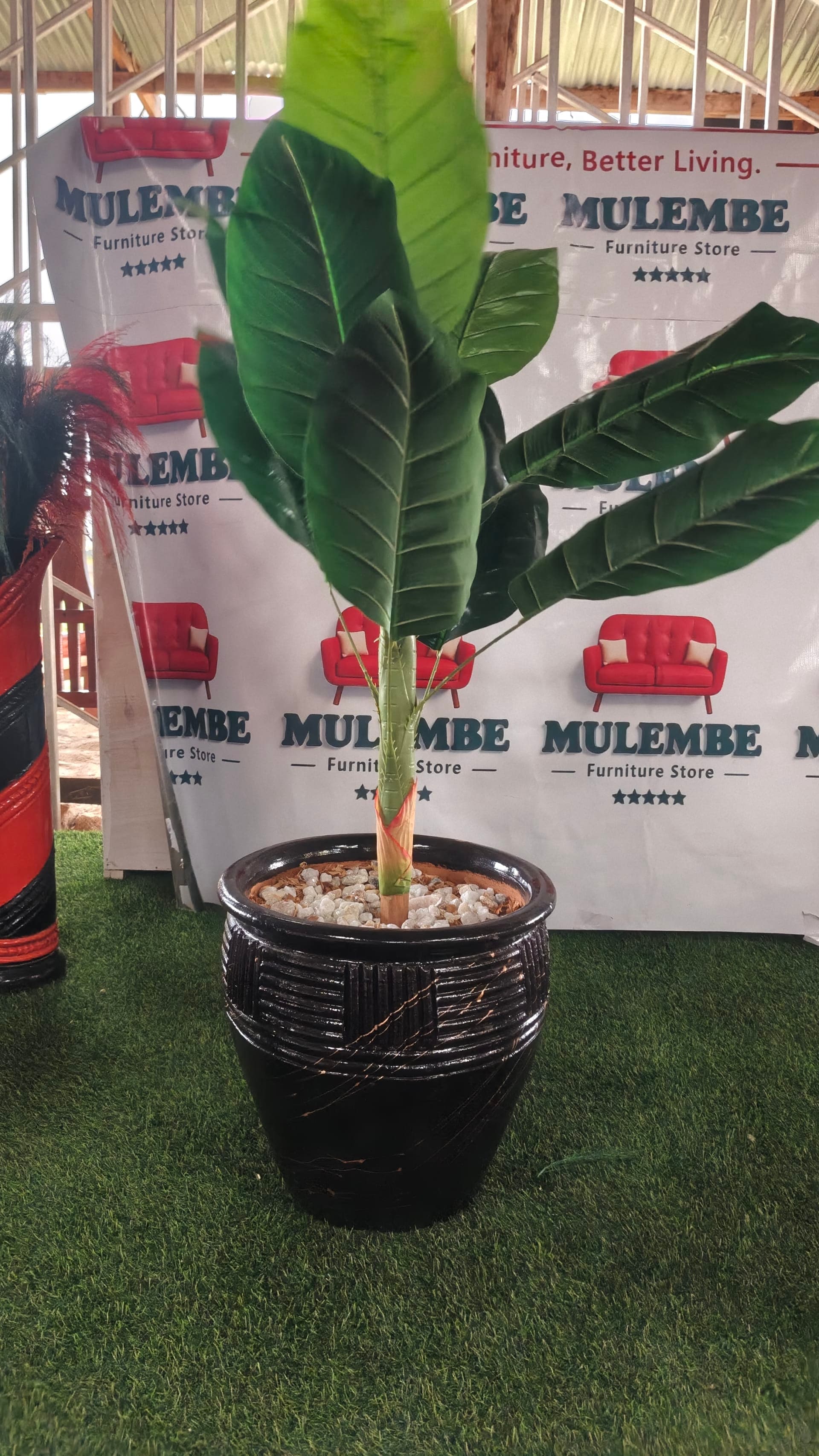 Palm Floor Plant